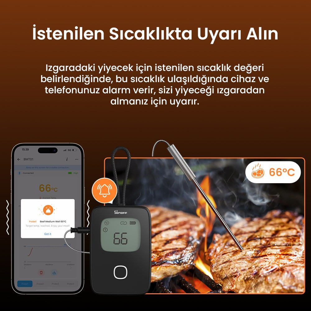 Sonoff Akıllı BBQ Et Termometresi